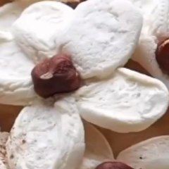 The Vegan Inspiration on Instagram: "Making marshmallows into flowers is so fun and easy🥰 Let’s make them into crunchy cookies💕 By @Yokos.kitchen . . . ==================== . ➡️ "Get New The Complete New Vegan Cookbook Over 200+ Vegan Recipes & Including 30-Day Meal Plan" LINK IN OUR BIO 🔗 @the.vegan.inspiration . ==================== . . . Marshmallows(I used @mydandies vegan marshmallows) Hazelnuts Cinnamon powder(optional) 1. Preheat oven to 225°F. Line a baking sheet with parchment paper. 2. Give 4 cuts to marshmallows and shape into flowers. Place them on the prepared baking sheet. Bake for 15 minutes. 3. Place hazelnuts in the center of the marshmallows. Bake a further 40-45 minutes. Let cool. Sprinkle some cinnamon powder. For more recipes check out her YouTube channel @Yokos. Marshmallow Flowers, Vegan Marshmallows, How To Make Marshmallows, Marshmallow Cookies, Muffin Cake, Vegan Inspiration, Chocolate Shells, Homemade Marshmallows, Crunchy Cookies