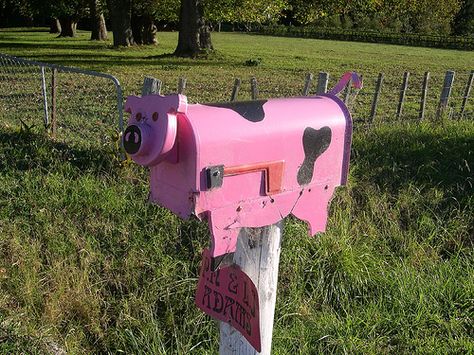 I want this mailbox! Mail Boxes, Mailbox, Pigs, I Want, Outdoor Decor