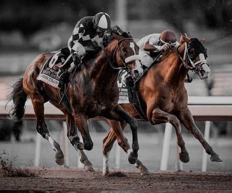 Horse Race Aesthetic Vintage, Race Horse Aesthetic, Racehorse Aesthetic, Horse Racing Photography, Horse Race Aesthetic, Horse Racing Aesthetic, Derby Aesthetic, Racetrack Higgins, Race Photography