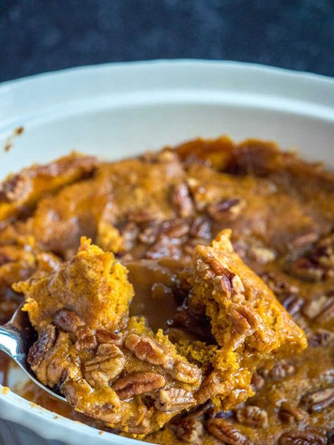 Pumpkin Pecan Cobbler – 12 Tomatoes Spicy Desserts, Pumpkin Pecan Cobbler, Pumpkin Cobbler, Pecan Cobbler, 12 Tomatoes, Pumpkin Pecan, Bread Recipes Sweet, Cobbler Recipes, Seasonal Food