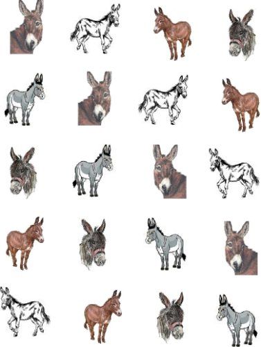 Animal Nail Art, Different Poses, Water Transfer, Donkeys, Nail Decals, Rooster, This Is Us, Nail Art, Nails