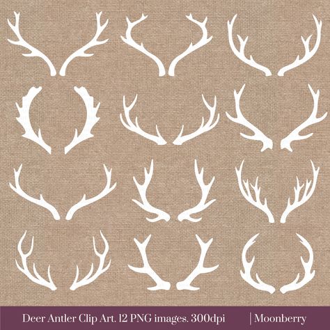 Unique white antlers related items | Etsy Big Chalkboard, Chalkboard Arrow, Chalkboard Clipart, Petit Tattoo, Deer Horns, Deer Tattoo, White Deer, Deer Art, Deer Antler