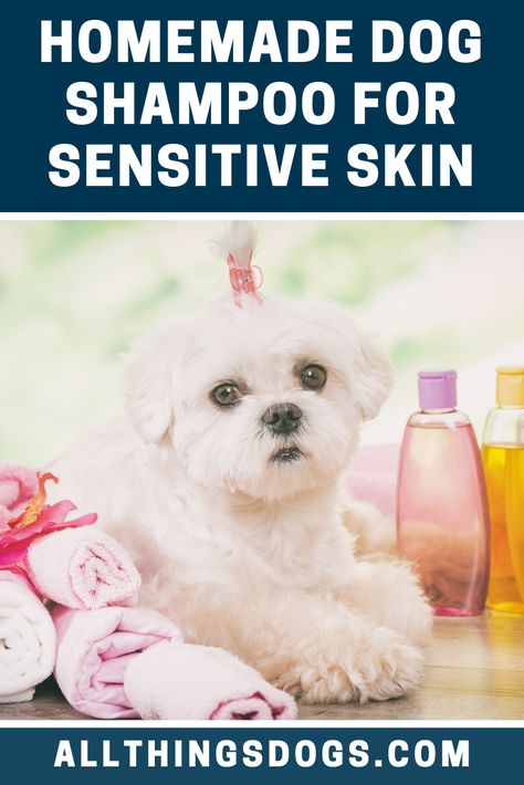 Sensitive Skin Dog Shampoo, Homemade Puppy Shampoo, Diy Dog Shampoo With Essential Oils, How To Make Dog Shampoo, Homemade Dog Shampoo For Itchy Skin, Diy Dog Shampoo For Itchy Skin, Dog Shampoo Recipe, How To Make Shampoo, Diy Shampoo Recipe