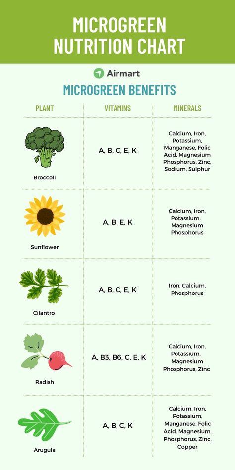 microgreen nutrition chart Microgreens Garden, How To Grow Microgreens, Microgreens Recipe, Grow Microgreens, Micro Garden, Nutrition Chart, Growing Microgreens, Where To Sell, Veg Garden