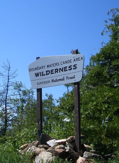 Boundary Waters Canoe Area (and wilderness in general!) Boundary Waters Canoe Area Wilderness, Boundary Waters Canoe Area, Boundary Waters, Water Aesthetic, Wilderness Camping, Northern Minnesota, Camp Counselor, Family Roots, Canoes