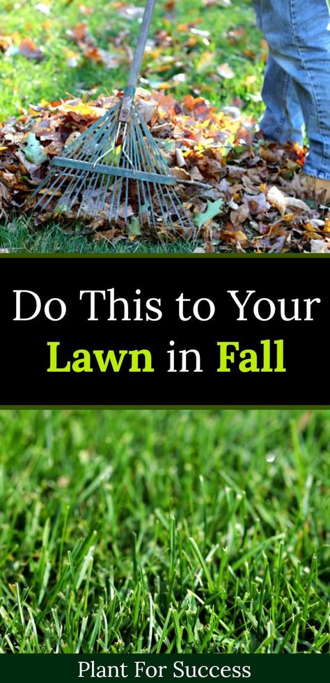 Fall lawn care is very important part of your lawn care program. Follow these fall lawn care tips for your best lawn yet. Fall Lawn Maintenance, Lawn Renovation, Lawn Care Schedule, Fall Lawn Care, Lawn Care Business Cards, Fall Lawn, Pergola Pictures, Lawn Care Business, Weeds In Lawn