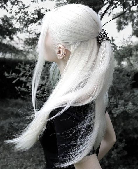 White Hair Aesthetic, Era Victoria, Long White Hair, Hair Aesthetic, Hair Reference, Silver Hair, White Hair, Pretty Hairstyles, Hair Goals