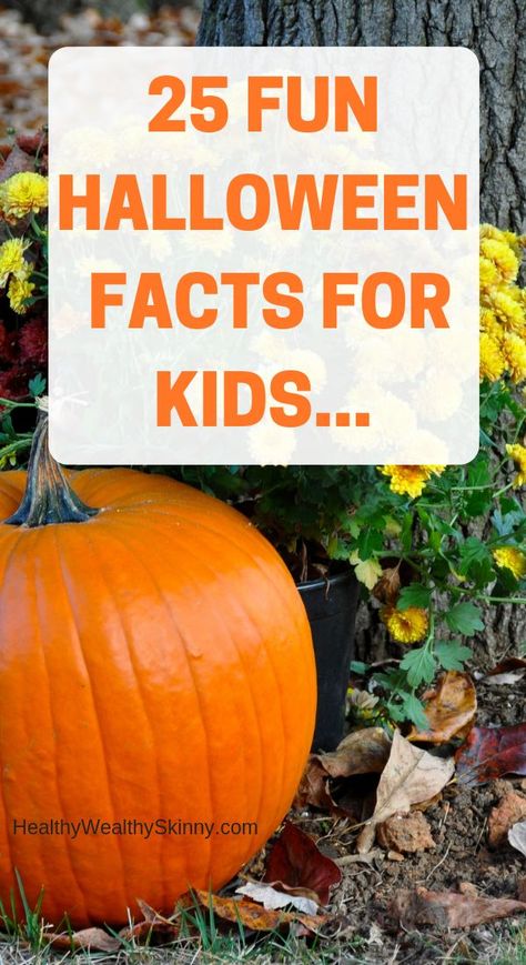 Halloween | Learn 25 Fun Halloween facts that I bet you didn't know. Teach your kids all about their favorite spooky holiday. #halloween #parenting #kids #HWS #healthywealthyskinny Halloween Facts For Kids, Halloween Fun Facts, Halloween Customer, Facts About Halloween, Halloween Writing Prompts, Halloween Club, Joker Halloween, Fun Facts For Kids, Halloween Writing