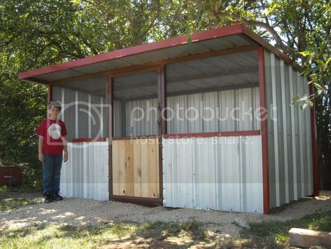 1 Acre Homestead, Acre Homestead, Plywood Walls, How To Raise Chickens, Dog Run, Metal Chicken, Raise Chickens, Metal Shed, Local Farmers Market