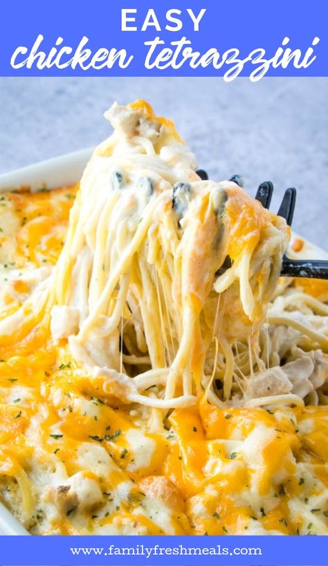 Easy Chicken Tetrazzini Recipe #casserole #familyfreshmeals #chickencasserole #tetrazzini #familydinner #chickenrecipe #chicken #pasta Tetrazzini Recipes, Easy Chicken Tetrazzini Recipe, Chicken Tetrazzini Casserole, Casserole With Chicken, Easy Chicken Tetrazzini, Chicken Tetrazzini Recipes, Chicken Casserole Recipes, Easy Chicken Casserole Recipes, Chicken Mushrooms