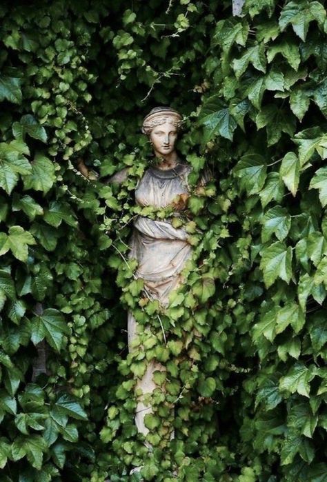 🪐✨ on Twitter: "happy thursday🪴… " Green Academia, Academia Aesthetics, Garden Show, Academia Aesthetic, Garden Statues, Nature Aesthetic, Green Aesthetic, Dream Garden, Botany