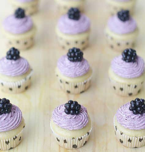 Vanilla Cupcakes with Blackberry Buttercream frosting | use vanilla soymilk Blackberry Frosting, Blackberry Cupcakes, Vegan Vanilla Cupcakes, Patisserie Vegan, Vegan Cupcakes, Desserts Vegan, Gateaux Cake, Best Vegan Recipes, Vanilla Cupcakes