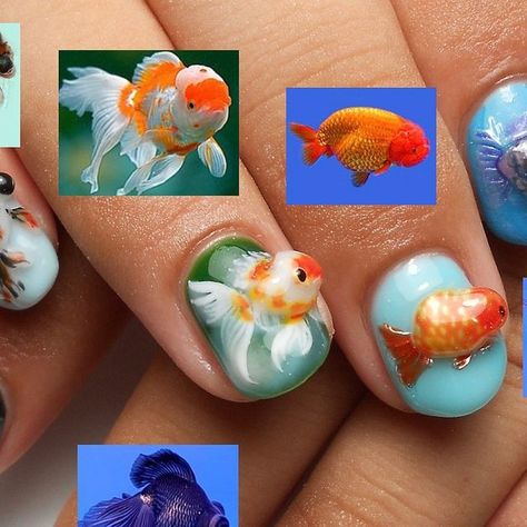 Goldfish Nails, Fish Nails, Fancy Goldfish, Goldfish Art, Short Nail, July 3, Goldfish, Short Nails, Christmas Nails