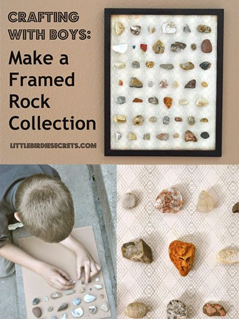 Little Birdie Secrets: make a framed rock collection tutorial {crafting with boys} Rock Collection Storage, Science Bedroom, Rock Collection Display, Science Room, Fun Summer Crafts, Crafts For Boys, Big Boy Room, Rock Collection, Boys Bedrooms