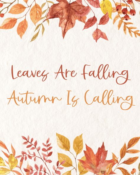 These 8x10 free fall printables will give your home an autumn touch. From fall subway art to buffalo check pumpkin art, there are plenty of fall printables to frame and add to your fall decorations and home decor. Fall 8x10 Printables, Fall Stencils Free Printable, Diy Fall Wall Art, Free Fall Printables 8x10, Fall Printables Free Autumn, Free Printable Fall Wall Art, Fall Printables Free, Fall Subway Art, Free Printable Artwork