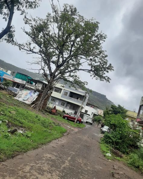 Mansoon photography of mountain trees scenic view.. Mountain Trees, Photography Mountains, Scenic View, Scenic Views, Photography Ideas, Nature Photography, Trees, Photography, Nature