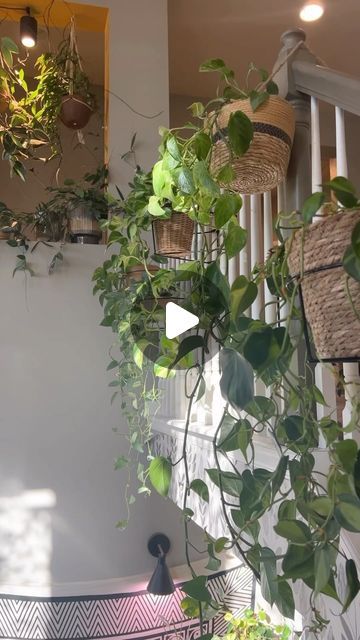 [Ty] Plants + Vibes on Instagram: "Railscaping… a word you might not have heard of before ⬇️ I know I hadn’t heard of it before I found this product and now I’m giving my home the jungle vibes it deserves thanks to these nifty plant traps. Plant traps are specially designed pot holders that you can add to your banister both indoor and outdoor. Their patented design makes it so easy, and safe, to display plants on your staircase. This is perfect for all of my plant friends who are running out of floor space, but don’t want to put holes in their ceiling. It’s also perfect for ANYONE who likes a planty aesthetic. Comment the word “trap” and I’ll dm you a link to check them out for yourself. They have options for a variety of railings- allowing anyone to live out their railscaping dreams! Plant Traps, Plant Friends, Jungle Vibes, My Plant, Indoor Jungle, Floor Space, Garden Patio, A Word, Plant Decor