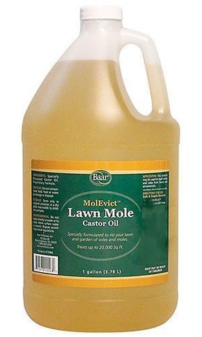 Mole Removal Yard, Moles In Yard, Mole Repellent, Lawn Pests, Mole Removal, Japanese Beetles, Skin Tags, Lawn Maintenance, Garden Pests