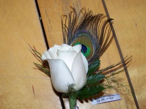 White rose and peacock feather buttonhole Button Holes Wedding, Pheasant Feather, Pheasant Feathers, Plan My Wedding, Peacock Feather, Pheasant, Here Comes The Bride, Blue Rose, Boutonniere