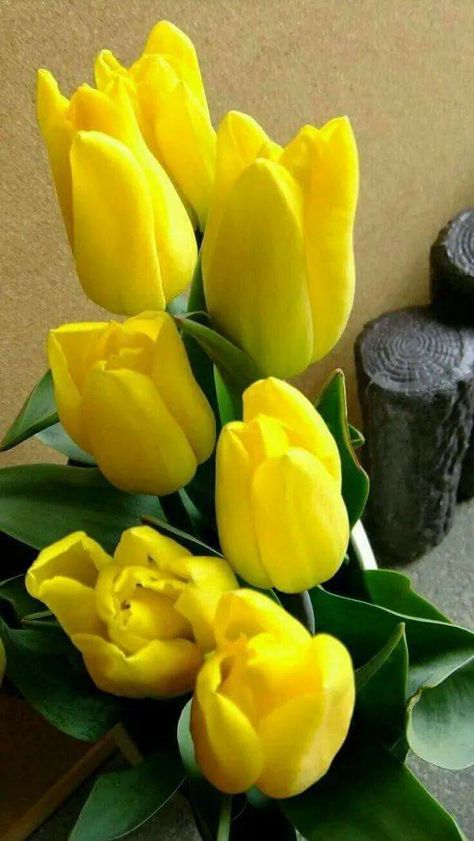 Yellow Tulips Bouquet, Hydrangea Wallpaper, Tulips Bouquet, Tulips Arrangement, Good Morning Flowers Gif, Tulip Bouquet, Flowers Gif, Yellow Tulips, Beautiful Scenery Nature