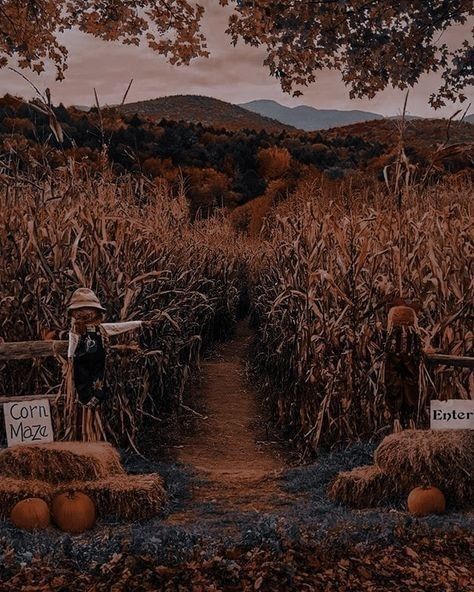 Halloween Fall Aesthetic, Halloween Aesthetics, Image Halloween, Dark Fall, Autumn Magic, Corn Maze, Over The Garden Wall, Halloween Wallpaper Iphone, Fall Mood