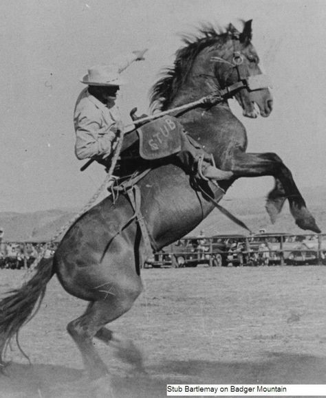 Stub Bartlemay a world's champion saddle bronc rider Cowboy Horse Riding, Cowboy On Horse Reference, Saddling A Horse, Horse Bucking With Rider, Bronc Horse, Cowboys On Horses, Cowboy With Horse, Horse Bucking, Vintage Western Art