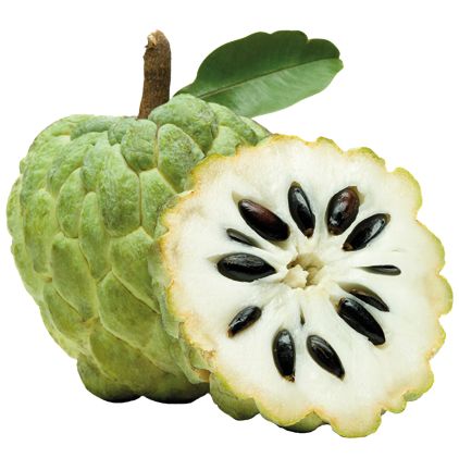 Cherimoya - Everfresh.se Sugar Apple Fruit, Apple Custard, Custard Apple, Fruit Names, Sugar Apples, Fruits Images, Fruit Photography, Apple Seeds, Fruit Seeds