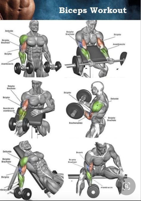 Tricep Workout Gym, Big Biceps Workout, Arm Workout Routine, Back And Bicep Workout, Shoulder Workout Routine, Bicep And Tricep Workout, Chest Workout Routine, Workout Program Gym, Gym Workout Planner