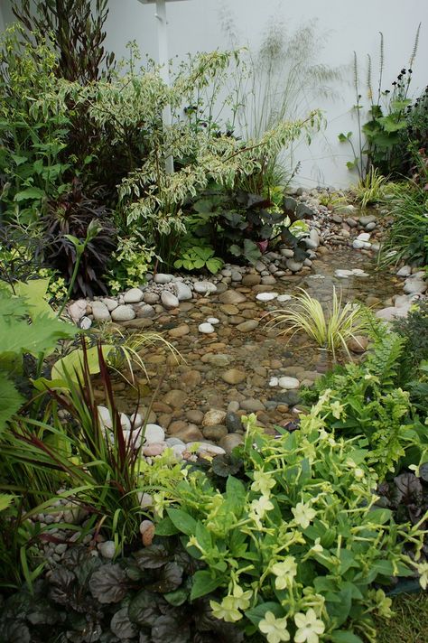 Bog Garden, Garden Pond Design, Garden Water Feature, Garden Waterfall, Pond Water Features, Natural Pond, Backyard Water Feature, Pond Design, Wildlife Gardening