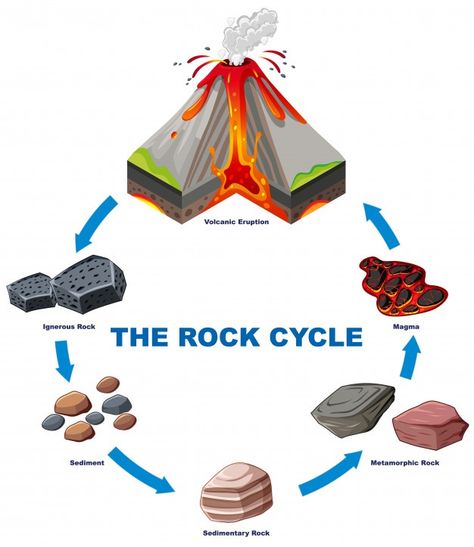 Diagram showing rock cycle Free Vector | Free Vector #Freepik #freevector #education #nature #cartoon #world Rock Cycle Diagram, Rock Cycle Project, Cycle Drawing, Rock Cycle, Science Notebooks, Sedimentary Rocks, Simple Machines, Science Fair Projects, Middle School Science