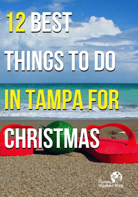 Tampa Florida Things To Do In December, Christmas In Tampa Florida, Tampa Florida Things To Do In, Busch Gardens Christmas Town, Florida In December, Christmas Florida, Christmas Trips, Things To Do In Tampa, Madeira Beach Florida