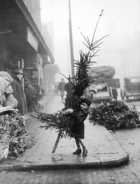 Snowy Wonderland, Spitalfields Market, Vintage Christmas Photos, Dog Waiting, Christmas Window Display, Santa Photos, Xmas Trees, Christmas Tree Shop, Old Christmas