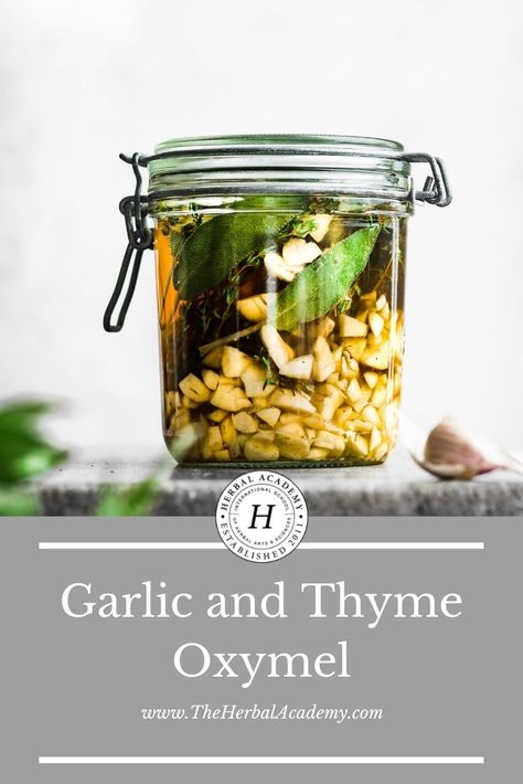 Tinctures Recipes, Herbal Academy, Herbal Medicine Recipes, Herbal Remedies Recipes, Herbal Recipes, Herbal Tinctures, Natural Healing Remedies, Culinary Herbs, Herbal Healing