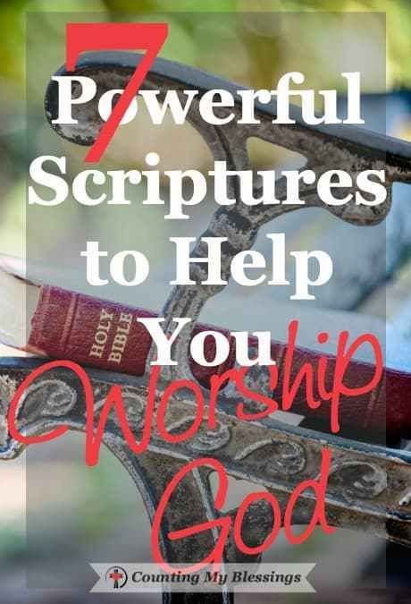 24/7 worship comes from a completely surrendered and thankful life. These 7 Scriptures will help you worship when life makes the words hard to find. Worship Scripture, Worshiping God, God Worship, Woord Van God, Worship Quotes, Walk Outside, Deliverance Prayers, Verse Mapping, Bible Study Help