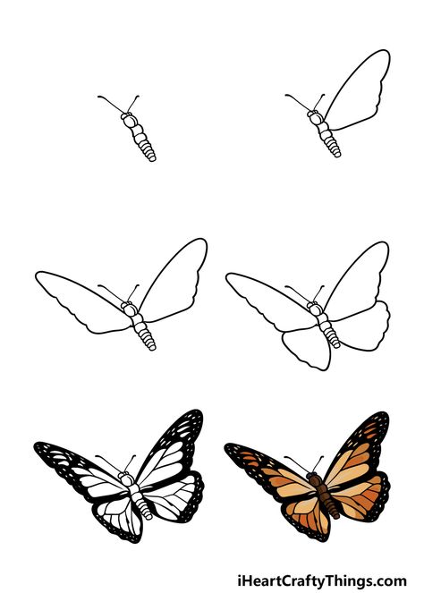 Monarch Butterfly Drawing - How To Draw A Monarch Butterfly Step By Step Draw Monarch Butterfly, Butterfly Drawing Reference, Monarch Butterfly Sketch, Draw A Monarch Butterfly, Butterfly Drawing Images, Monarch Butterfly Drawing, Painting Clipart, Monarch Butterflies Art, Watercolor Butterfly Tattoo