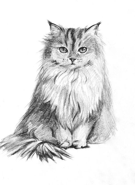 Artistic Pencil Hand-Drawn Pet Portrait 5$ fiverr Drawing Pencil Sketches, Cat Draw, Halloween Tattoos Sleeve, Cats Art Drawing, Drawing Styles, Cat Drawings, Cat Embroidery, Cute Cat Drawing, Cat Sketch