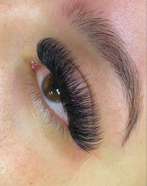 D Curl Volume Lashes, Eyelash Extensions D Curl, D Curl Lash Extensions, Mega Volume Lash Extensions, Volume Lash Extensions, Eyelash Extentions, Curl Lashes, Lashes Beauty, Volume Lashes