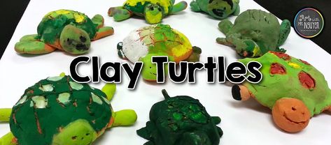 Clay Ideas Turtle, Magic Clay Ideas, Model Magic Clay Ideas, Clay Turtles, Model Magic Clay, Clay Date, Classroom Management Ideas, Clay Turtle, Model Magic