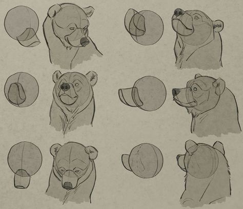 Bear Drawing Sketches, Cartoon Bear Drawing, Bear Side View, Drawing Bears, Bear Face Drawing, Draw A Bear, Bear Reference, Bear Character Design, Bear Sketch