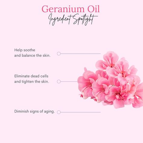 Lunalis on Instagram: “✨Geranium Oil ✨Thanks to its anti-inflammatory and antibacterial properties, geranium (Pelargonium graveolens) oil is considered to be a…” Pelargonium Graveolens, Geranium Oil, Geraniums, Aging Signs, Flower Power, Skin, Flowers, On Instagram, Instagram