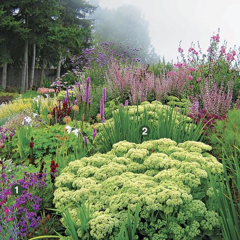 Purple And Green Garden, Flower Combinations For Garden, Garden Color Combinations, 4 Season Garden, Mass Planting, The Beginning Of The End, Fine Gardening, Have Inspiration, Garden Pictures