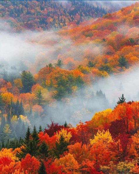 Green Mountains Vermont, Green Mountains, Autumn Scenery, Autumn Beauty, Green Mountain, Fall Pictures, Nature Scenes, Vermont, New England