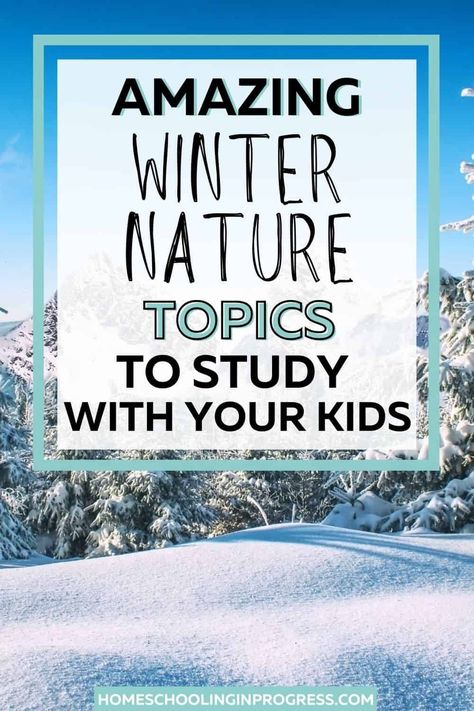 Yes, you can still do nature study in the winter! Find great winter nature topics, like winter plants, animals and more to study. Learn about books about winter that are great for a winter nature study and fun winter activities to include. Winter Nature Study, Winter Nature Activities For Kids, Winter Unit Study, Best Time To Study, Winter Stem Activities, Homeschool Coop, Homeschool Nature, Nature Journals, Homeschool Nature Study