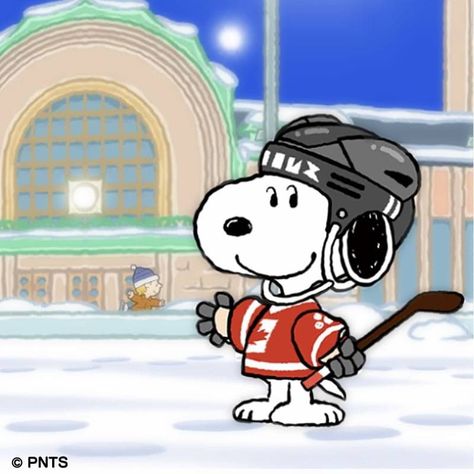 Snoopy Profile Pic, Snoopy Hockey, Birthday Snoopy, Charlie Brown Wallpaper, Snoopy Family, Peanuts By Schulz, Snoopy Comics, Snoopy Images, Dog Rocks