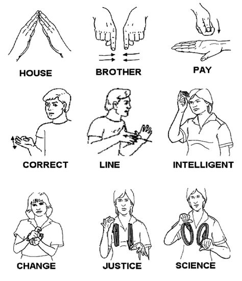 #asl #signlanguageforkids #signlanguagebasics #words #science #justice #change #intelligence Basic Sign Language For Beginners, Asl Words, Makaton Signs, Simple Sign Language, Common Sence, Hand Sign Language, Asl Sign Language Words, Sign Language Art, Sign Language Chart