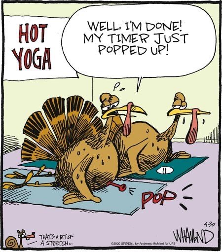 Funny Thanksgiving Pictures, Turkey Jokes, Teacher Comics, Thanksgiving Humor, Black Cat Appreciation Day, Thanksgiving Cartoon, Funny Day Quotes, Thanksgiving Pictures, Funny Cartoon Pictures