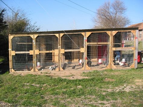 breeder coop-separate each chicken breed for breeding. Can have two for chickens and two for pheasant or duck Duck Breeding Pens, Multi Chicken Coop, Pheasant Coop Ideas, Chicken Breeder Pens, Chicken Grow Out Pen, Chicken Breeding Pens Ideas, Bantam Chicken Coop, Poultry Breeding Pens, Chicken Backyard