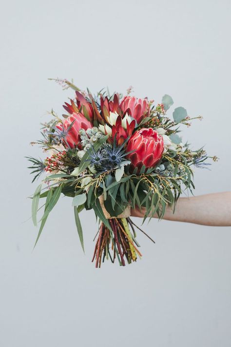 Wedding Bouquets With Proteas, Bridesmaid Protea Bouquet, Queen Protea Bouquet, Bridal Bouquet Australian Natives, Australian Native Flower Bouquet Wedding, Wedding Flowers Protea, Fynbos Wedding Bouquet, Australian Natives Bouquet, Australian Flower Bouquet