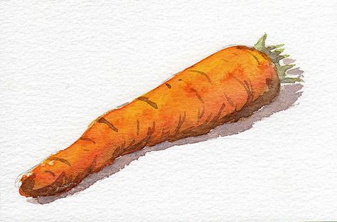 Watercolor vegetable. Carrot Watercolor Painting, Carrot Painting, Shadow Watercolor, Botanical Sketching, Carrot Drawing, Shadow Painting, Cooking Book, Learn Watercolor Painting, Realistic Sketch