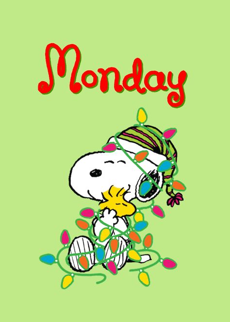 Happy Monday Sally Brown, Hello Kitty Imagenes, Lucy Van Pelt, Peanuts Christmas, Peanuts Cartoon, Snoop Dog, Snoopy Christmas, Snoopy Quotes, Snoopy Pictures